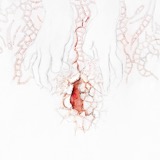 Needlework III 2013 - Mixed media on paper - 60 x 60 cm
